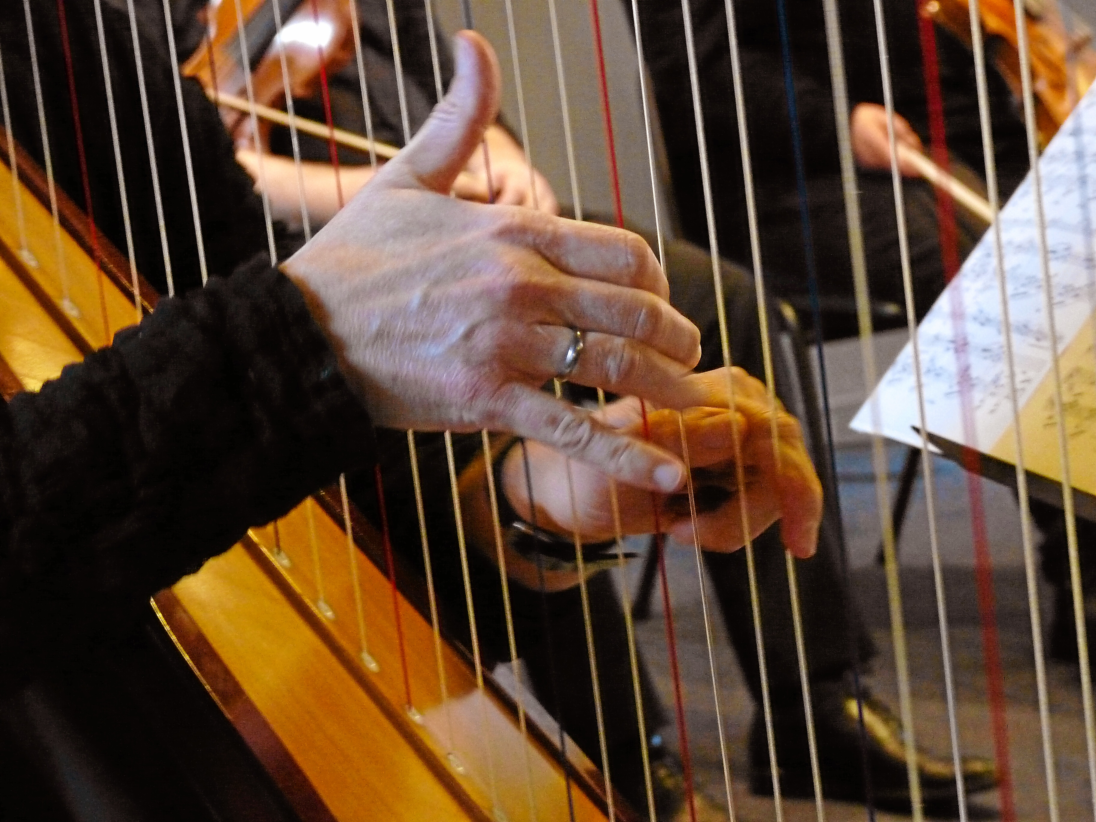 Klassiek op Zuid, harp